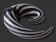 Twisted Striped Spiral