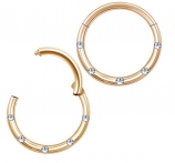 Titan Segmentring mit Klappscharnier und Glitzersteinen Rosegold eloxiert