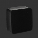 Square Ironwood Plug