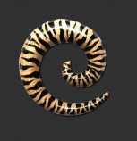 Handpaintet Woodspiral