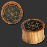 Olive Wood Plug with Horn Inlay